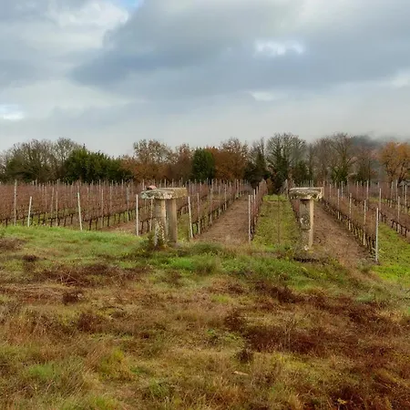 Casa Rectoral De San Eusebio *
