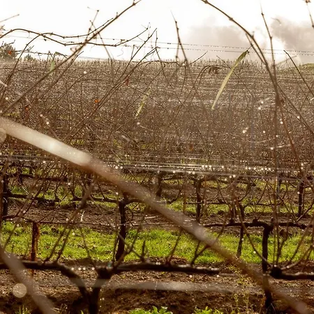 Szálloda Casa Rectoral De San Eusebio Ourense