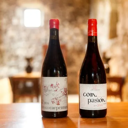 酒店 Casa Rectoral De San Eusebio *