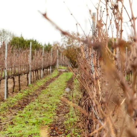 Casa Rectoral De San Eusebio *