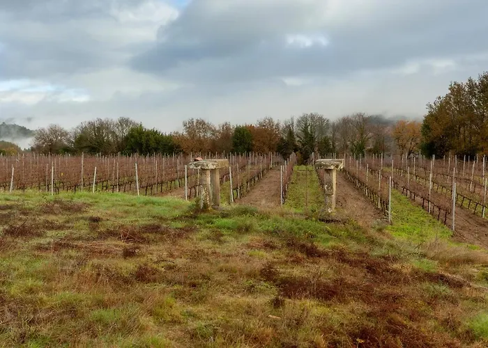 Casa Rectoral De San Eusebio *