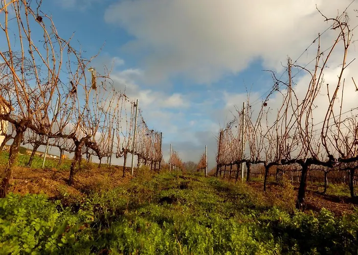 Casa Rectoral De San Eusebio * Ourense