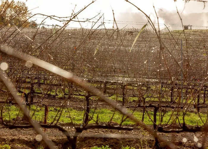 Hotel Casa Rectoral De San Eusebio Ourense