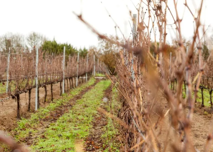 Casa Rectoral De San Eusebio *